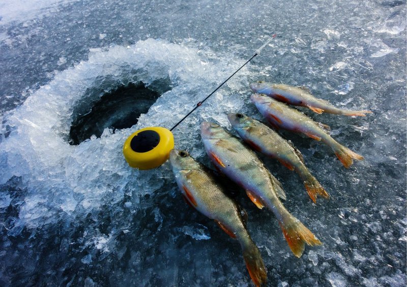 Learn about ice fishing live casino